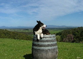 Foster VIC Tourism Canberra