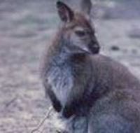 Churchill National Park - Tourism Canberra