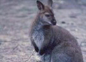 Churchill National Park - Tourism Canberra 0