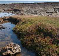 Ricketts Point Marine Sanctuary - Tourism Canberra