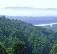 Kalorama Park - Tourism Canberra