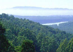 Kalorama Park - Tourism Canberra 0
