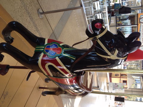 The Carousel - Tourism Canberra 4