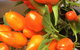 Main Street Market Mornington - thumb 6