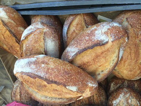 Main Street Market Mornington - Tourism Canberra 8