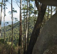 Gulaga National Park - Tourism Canberra