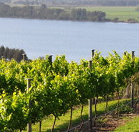 Two Figs Winery - Tourism Canberra