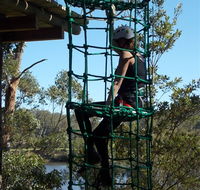 Trees Adventure Shoalhaven - Tourism Canberra