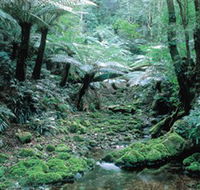 Deua National Park - Tourism Canberra
