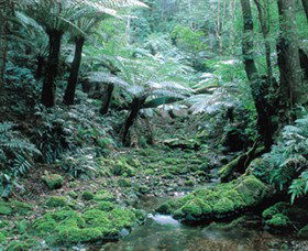 Deua National Park - Tourism Canberra 0