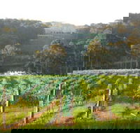 Tilba Valley Wines - Tourism Canberra