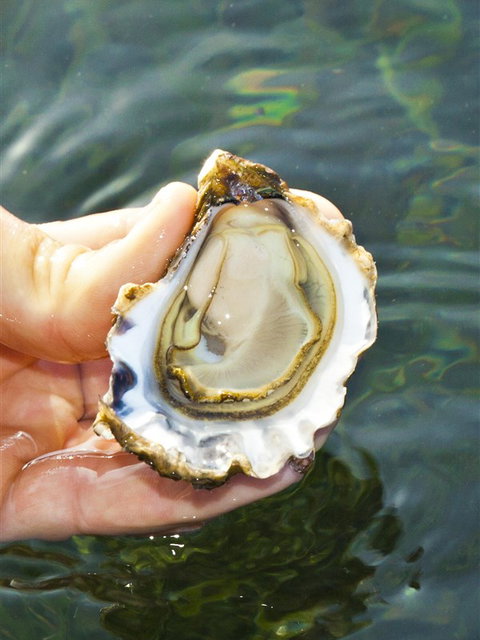 The Oyster Pot - Tourism Canberra 0