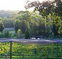 Lyrebird Ridge Organic Winery - Tourism Canberra