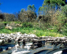 Abrahams Bosom Reserve - Tourism Canberra 0