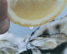 Pearly Oyster Bar And Farm - Tourism Canberra 0