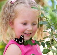 Coffs Harbour Butterfly House - Tourism Canberra