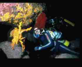 Solitary Islands Marine Park - Tourism Canberra 0
