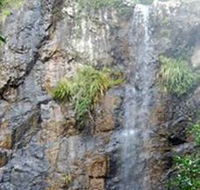 Wedding Bells Forest Drive - Tourism Canberra