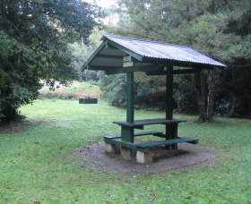 Pine Creek State Forest - Tourism Canberra 0