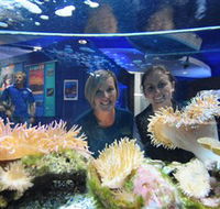 Solitary Islands Aquarium - Tourism Canberra