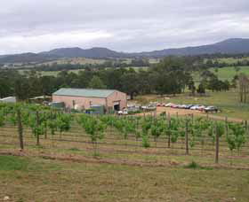 Villa D Esta Vineyard - Tourism Canberra 0