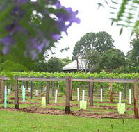 Douglas Vale Historic Homestead  Vineyard - Tourism Canberra
