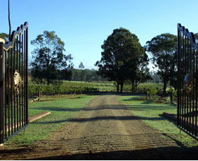 Moorebank Private Vineyard - Tourism Canberra 3