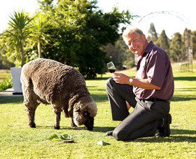 Moorebank Private Vineyard - Tourism Canberra 2
