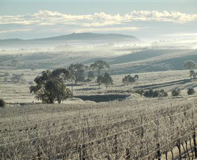 Kurrajong Downs Wines Vineyard - Tourism Canberra 1