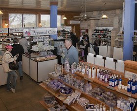 Pokolbin Estate Vineyard - Tourism Canberra 2