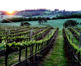 Philip Shaw Wines - Tourism Canberra 1