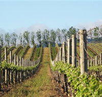 Philip Shaw Wines - Tourism Canberra