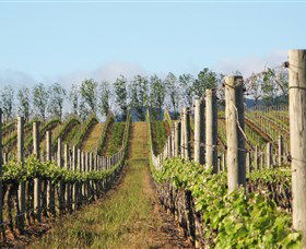 Philip Shaw Wines - Tourism Canberra 0