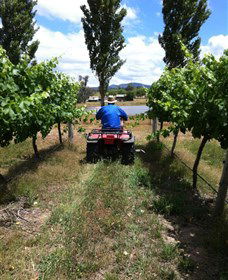 Heifer Station - Tourism Canberra 2