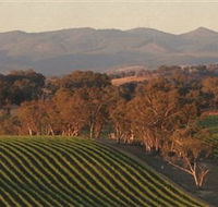 Angullong Wines - Tourism Canberra