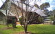 Joadja Winery - thumb 0