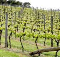 Bantry Grove - Tourism Canberra