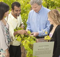 Jacob's Creek Vineyard Tour - Tourism Canberra