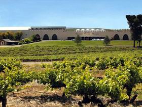 Taylors Wines - Tourism Canberra 0