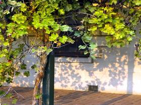 Wolseley SA Tourism Canberra