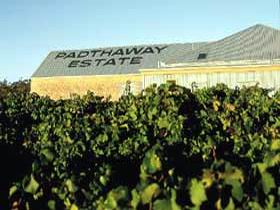 Padthaway Estate Winery - Tourism Canberra 0