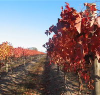 Kooyonga Creek Wines - Tourism Canberra