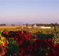 Morris Wines - Tourism Canberra