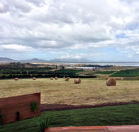 The Hazards Vineyard - Devil's Corner - Tourism Canberra
