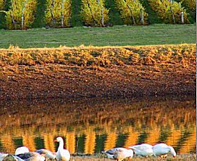 Pipers Brook TAS Tourism Canberra