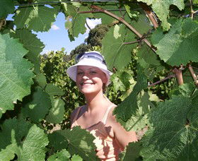 Harcourt Valley Vineyards - Tourism Canberra 5