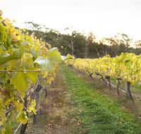 Harcourt Valley Vineyards - Tourism Canberra