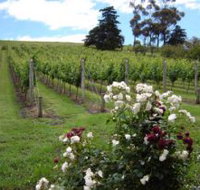 Pembroke Estate Vineyard - Tourism Canberra