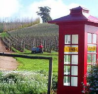 Dalrymple Vineyards - Tourism Canberra