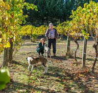 Little River Wines of Taggerty - Tourism Canberra